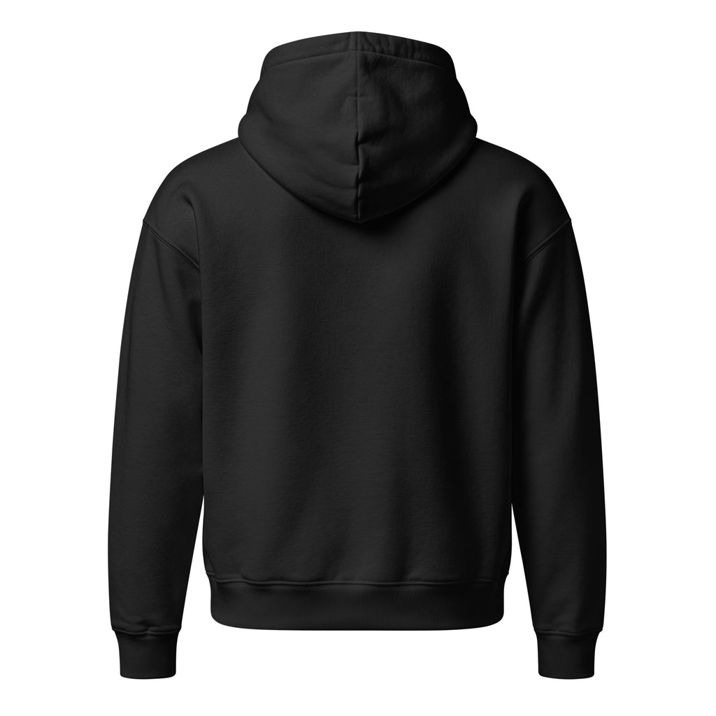 Climate Change Ain’t a Hoax — Unisex Relaxed Hoodie — Mid weight chaser hooded sweatshirt black, back view